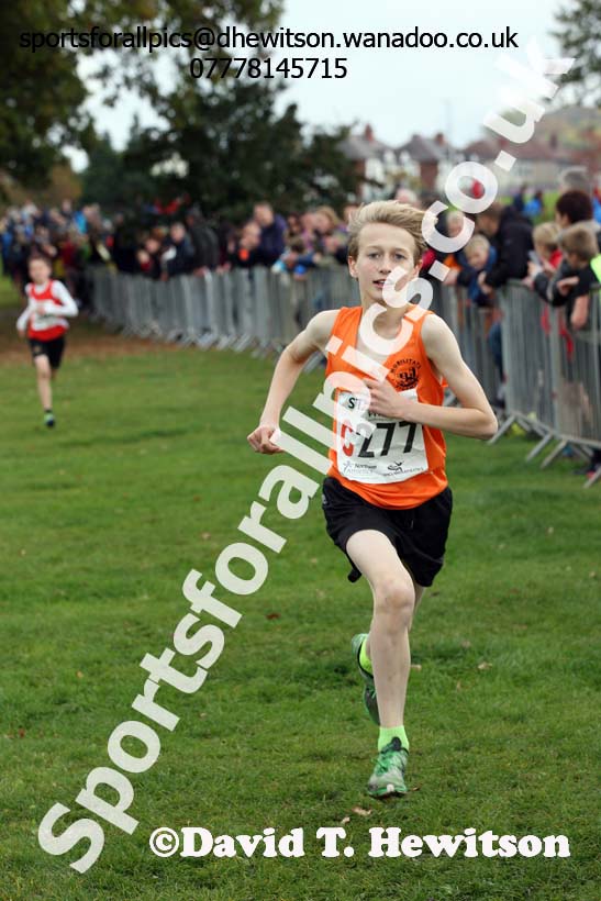 Boys under-13s Northern Cross Country Relays, Graves Park, Sheffield. Photo: David T. Hewitson/Sports for All Pics